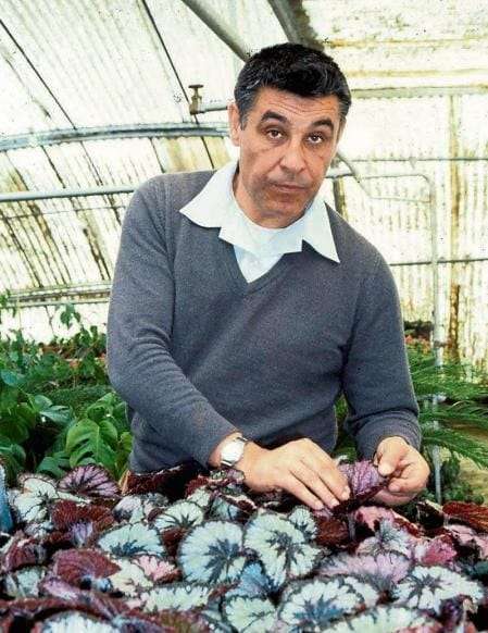 Día del padre en general