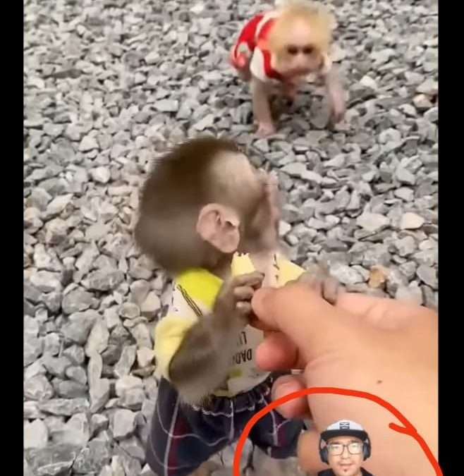 Talentos apabullantes