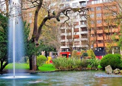 Estanque de los patos